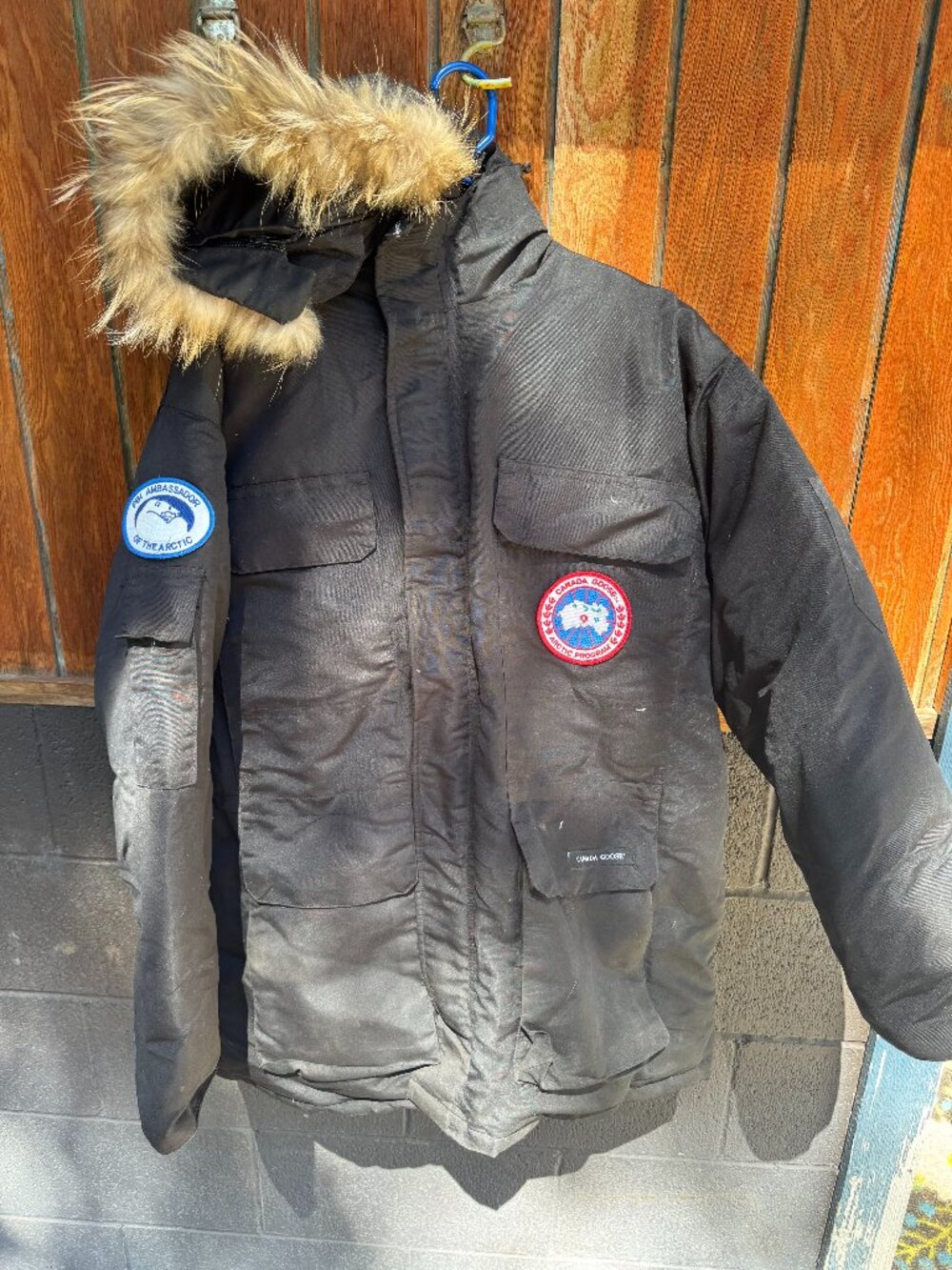 Canada Goose